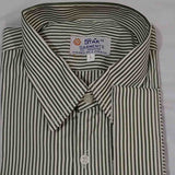 Green and White Stripe Shirt
